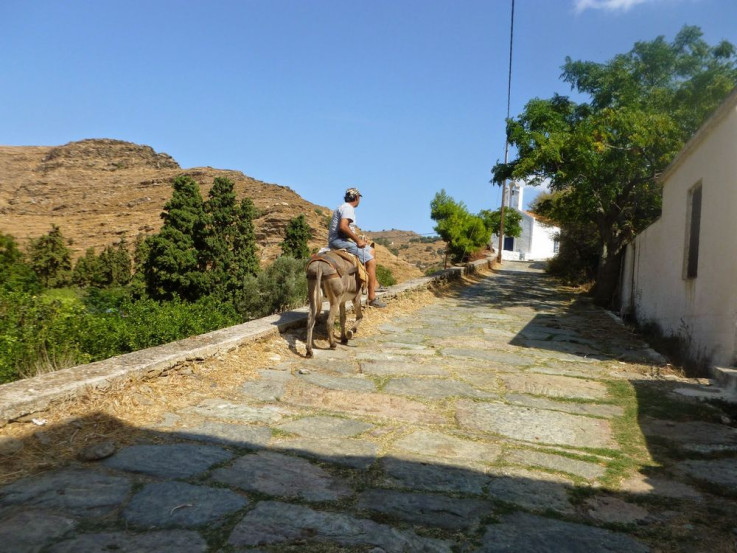 tn man on donkey