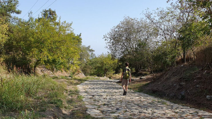 tn d10 20231021 142249nearkavala